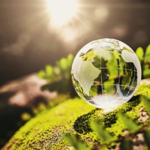 cuidado del medioambiente