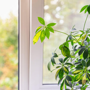 ventanas de pvc sostenibles