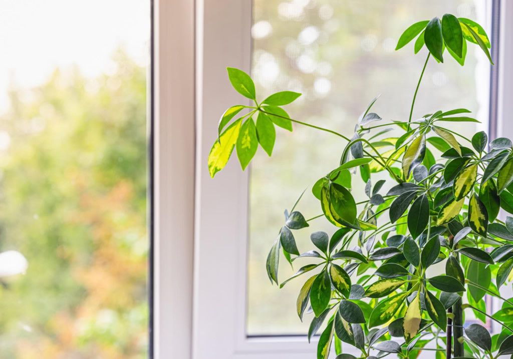 Ventanas de pvc, una opción sostenible
